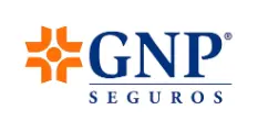GNP